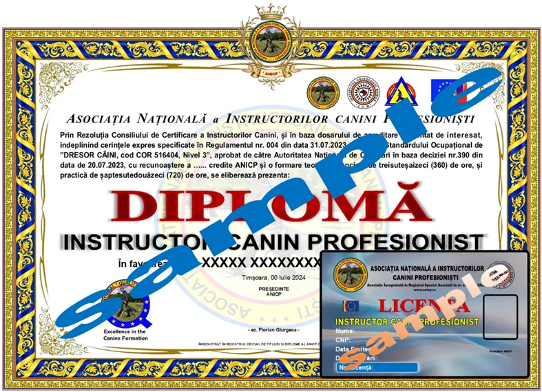 https://anicp.ro/wp-content/uploads/2024/11/ICP-1.png