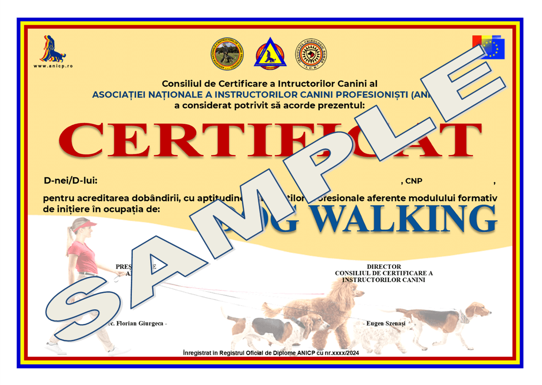 https://anicp.ro/wp-content/uploads/2024/11/Specimen-DogWalker.png