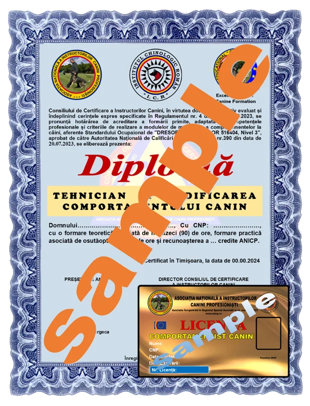 https://anicp.ro/wp-content/uploads/2024/11/TMC.png