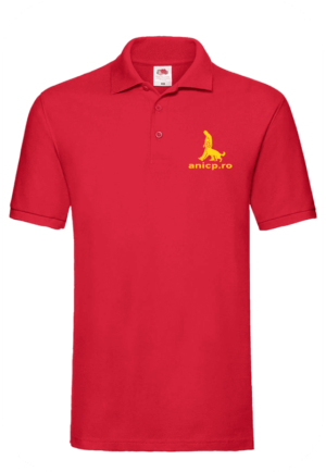 https://anicp.ro/wp-content/uploads/2025/01/polo-red-1-300x434.png