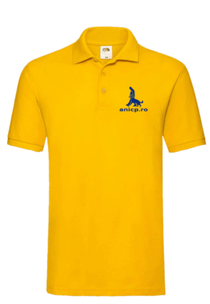 https://anicp.ro/wp-content/uploads/2025/01/polo-yellow-1-300x433.png