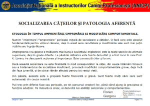 Socializarea Câțeilor și Patologia Aferentă