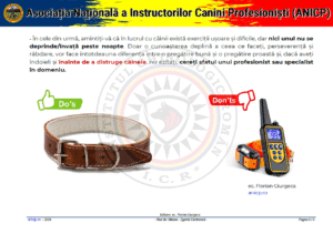 Zgarda Electronică - Mod de Întrebuințare