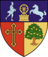 https://anicp.ro/wp-content/uploads/2026/05/Stema_Valcea.svg_-e1778477149654.png
